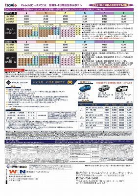 ピーチ那覇2裏面.jpg