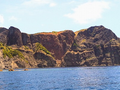 DSC_0695.jpg