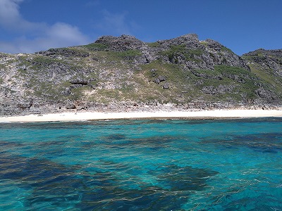 DSC_0698.jpg