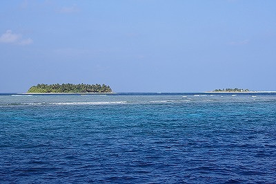 IMG_2785.jpg