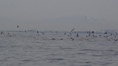 P4070005.jpg