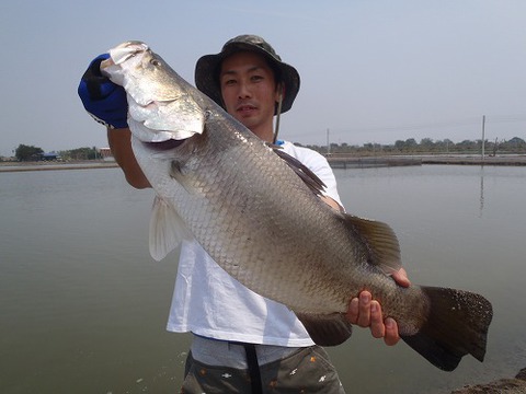 2013.02.14 BKK FISHING POND 037.jpg