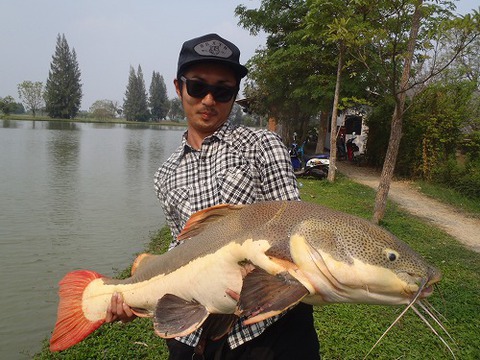 2013.02.14 BKK FISHING POND 091.jpg