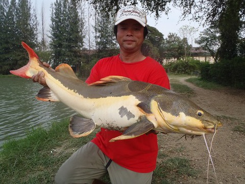 2013.02.14 BKK FISHING POND 098.jpg