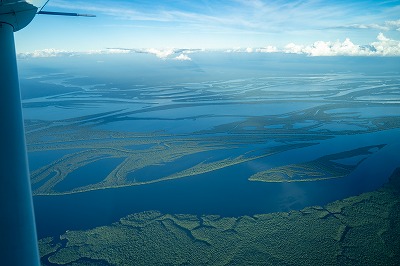 アマゾン　空撮4.jpg