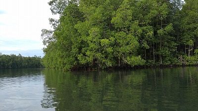 DSC_2686.jpg