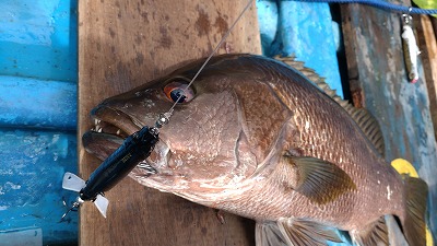 DSC_2695.jpg