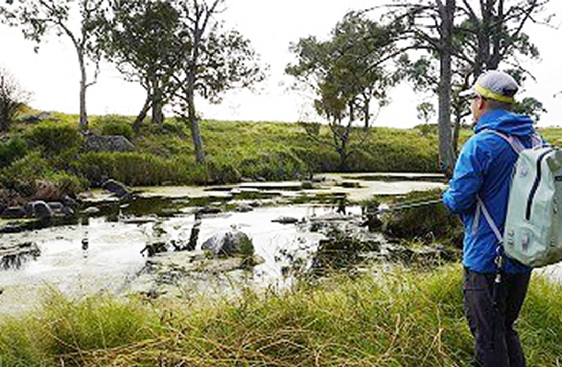 フレッシュウォーター