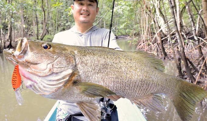 パプアンブラックバス/スポテッドバス