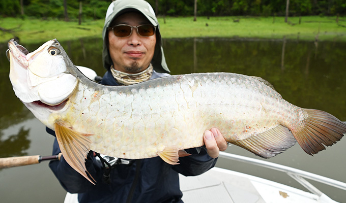 サザンサラトガ