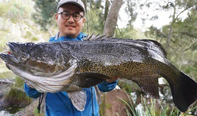 オーストラリア