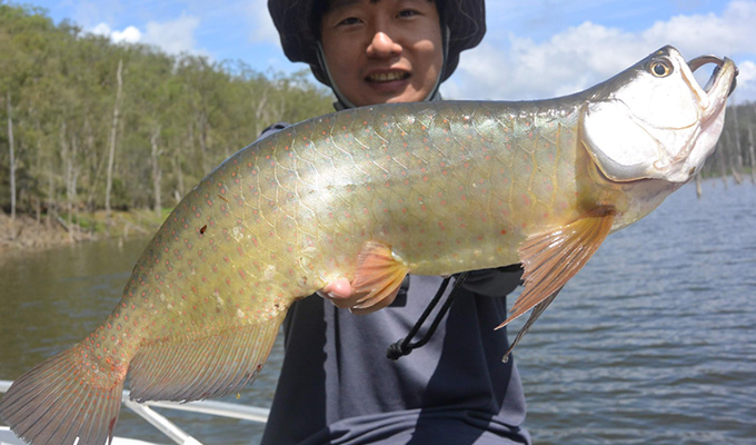 オーストラリア