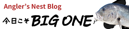 今日こそBIG ONE