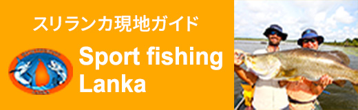 スリランカ現地ガイド