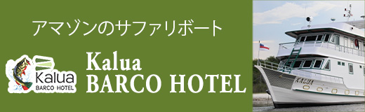 アマゾンのサファリボート