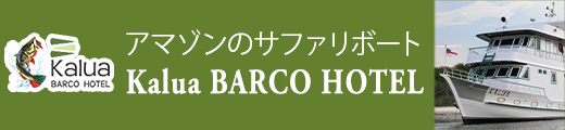 アマゾンのサファリボート