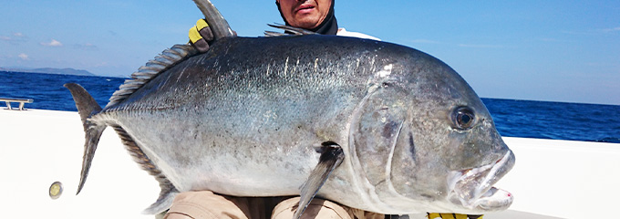 ソルトウォーター