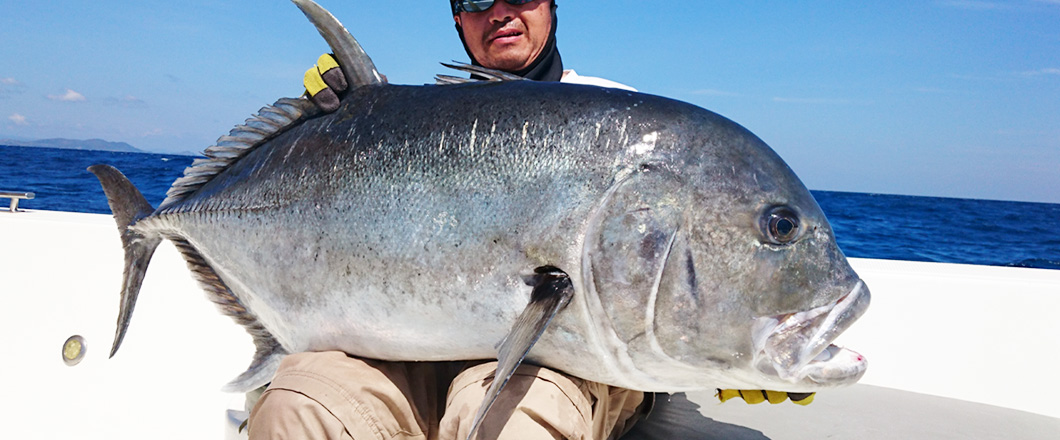 ソルトウォーター