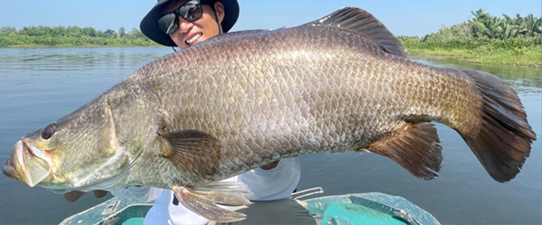 フレッシュウォーター