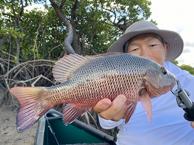 西表島 竹谷 MJ2.jpg