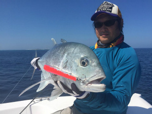 2016.12.21　　　　モルジブ・パールウィン・スピードボート釣果報告