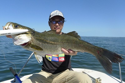 2021.09.22 東京湾シーバス　ビッグベイトパターン開幕！