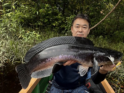 2026.02.10　　　　ブルネイ王国・トーマンフィッシング釣果報告