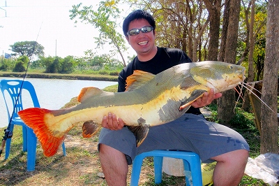 2014.01.24　　　　バンコク釣り堀釣果報告