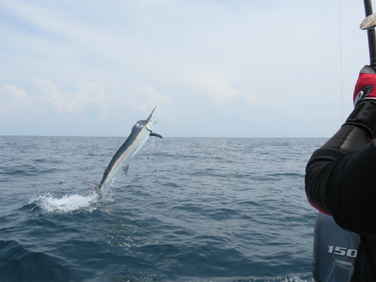 2015-07-19 14.02.36.jpg