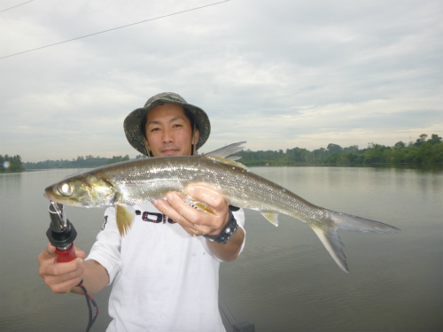 2015.12.24　　　　ゴールデンバラマンディを狙って。釣果報告