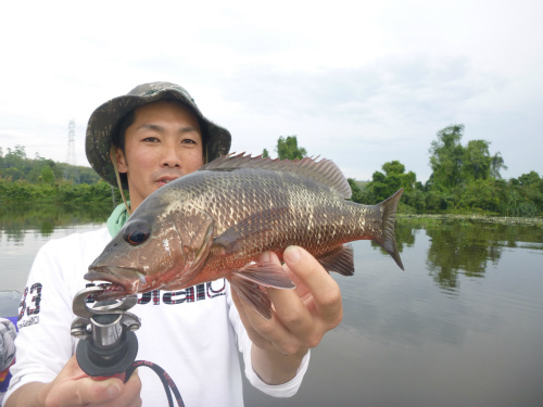 2015-12-10 09.46.05.jpg