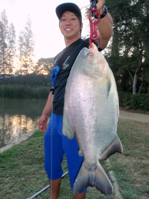 2016.01.21　　　　バンコク釣り堀釣行釣果報告