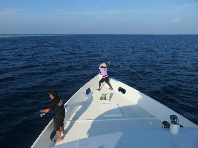 2016-02-26 11.46.08.jpg