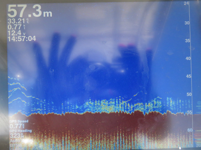 2016-04-29 18.54.04-1.jpg