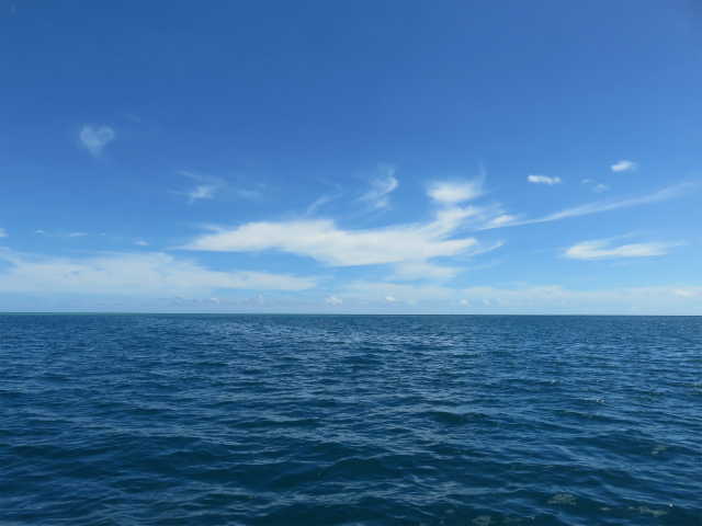 2016.07.13　　　　パラオ・ＧＴフィッシング＆ジギング釣果報告