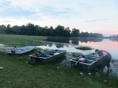 2017.01.16　　　　マレーシア・ピーコックバス＆トーマン釣果報告