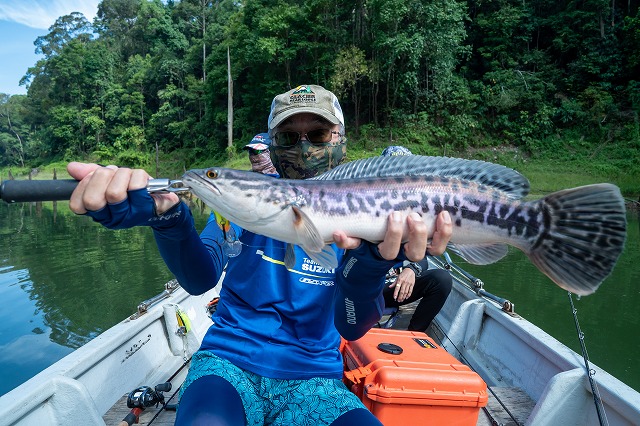 2019.08.29　　　　マレーシア・テメンゴール湖トーマンフィッシング釣果報告