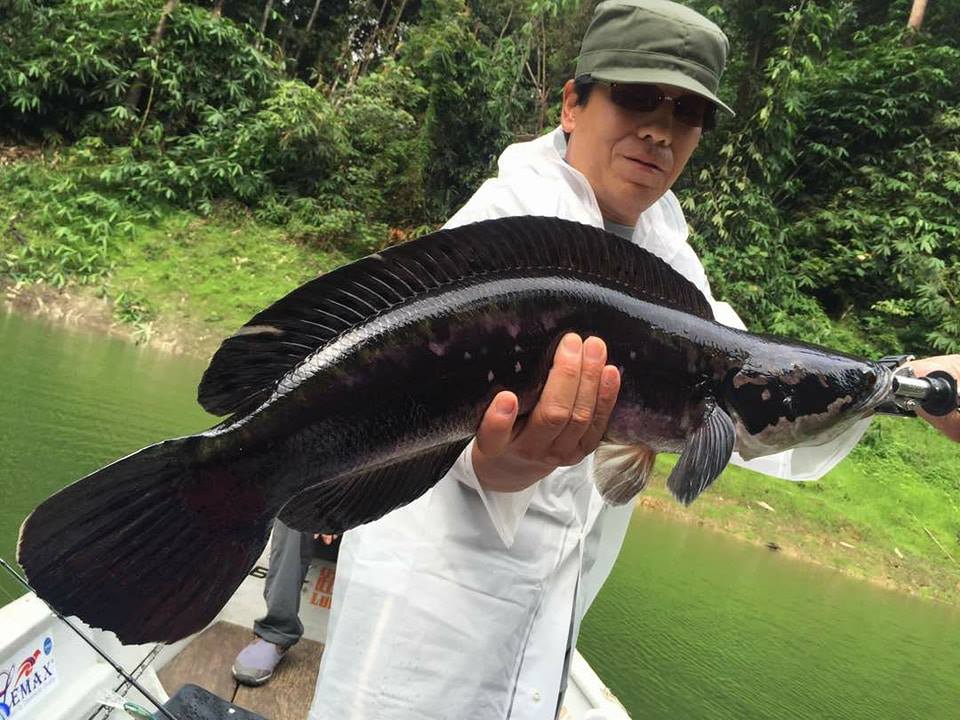 2023.09.01　　　　タイ・チャドーフィッシング6日間　