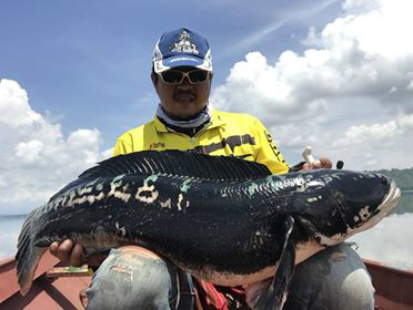 2018.05.24　　　　タイのチャドーフィッシングボートマンより釣果報告