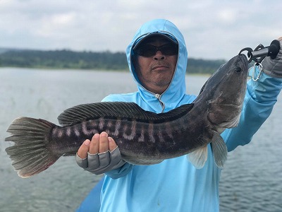 2018.10.12　　　　タイ・チャドーフィッシング釣果報告