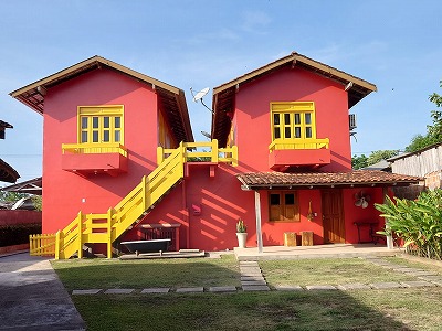 2024.10.23　　　　ブラジル・アマゾン・ピーコックバスフィッシング釣果報告