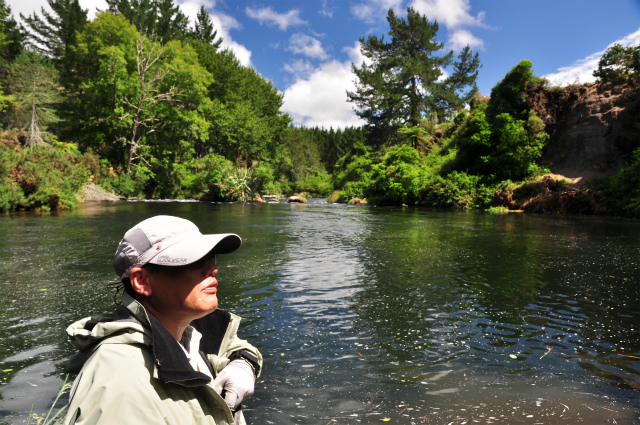 2016.01.20　　　　ニュージーランド・トラウトフィッシング釣果報告