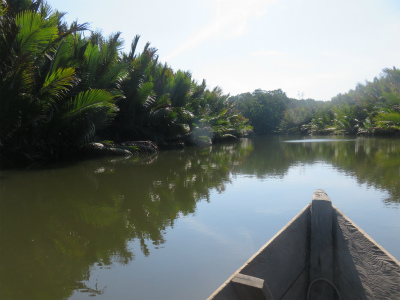 2017.08.06　　　　ボルネオ島・パプアンブラックバス釣果情報