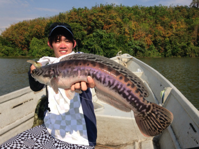 2017.03.23　　　　マレーシア・トーマンフィッシング釣果報告