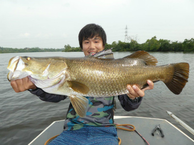 2018.05.18　　　　スリランカ・ゴールデンバラマンディ釣果報告