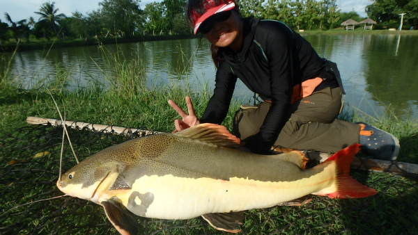 2015.08.13　　　　バンコク釣り堀釣果報告　　　　